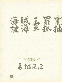 海贼王罗宾娜美被海军抓捕的漫画叫