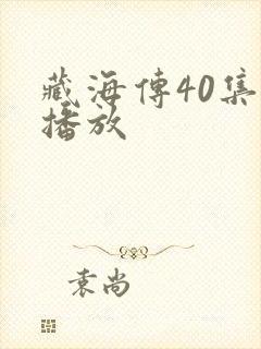 藏海传40集全播放封面