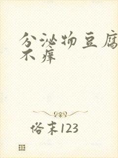 分泌物豆腐渣样不痒