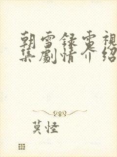 朝雪录电视剧分集剧情介绍封面