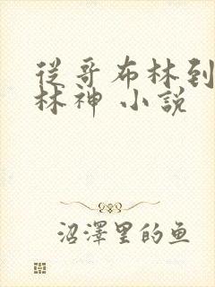 从哥布林到哥布林神 小说