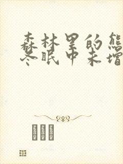 森林里的熊先生冬眠中未增删