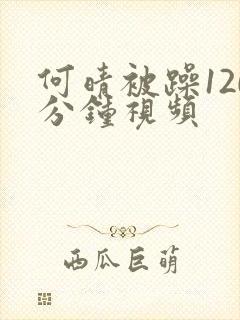 何晴被躁120分钟视频