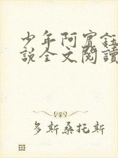 少年阿宾钰慧小说全文阅读目录免费