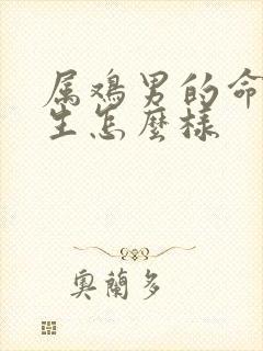 属鸡男的命运一生怎么样