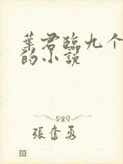 叶君临九个师傅的小说封面