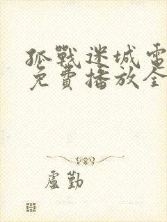 孤战迷城电视剧免费播放全集