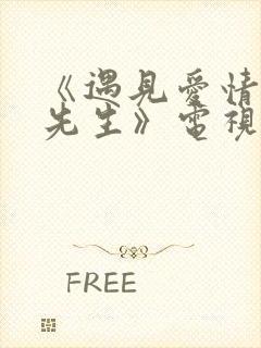 《遇见爱情的利先生》电视剧