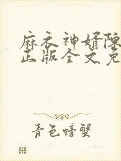 麻衣神婿陈黄皮正版全文免费阅读