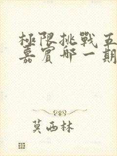 极限挑战五个女嘉宾哪一期封面