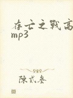 存亡之战高清版mp3封面