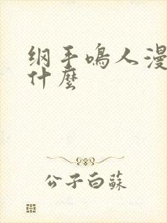 纲手鸣人漫画叫什么