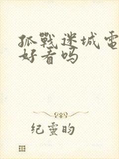 孤战迷城电视剧好看吗