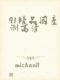 91精品国产亚洲高清