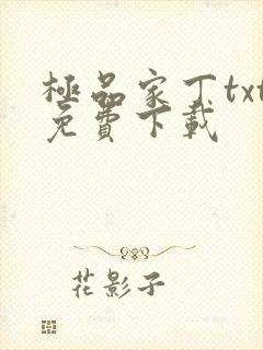极品家丁txt免费下载
