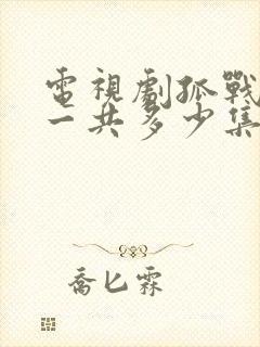 电视剧孤战迷城一共多少集