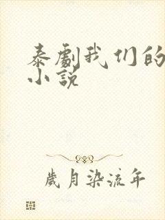 泰剧我们的秘密小说