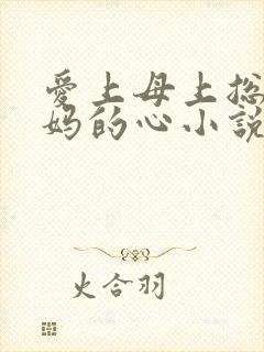 爱上母上总裁妈妈的心小说封面