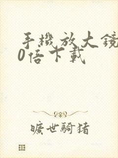 手机放大镜100倍下载