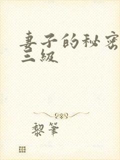 妻子的秘密韩国三级