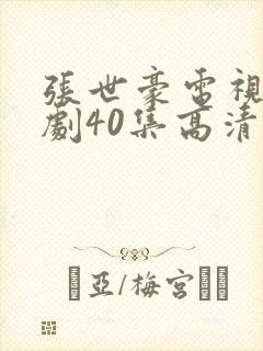 张世豪电视连续剧40集高清