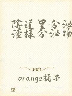 阴道里分泌出豆渣样分泌物