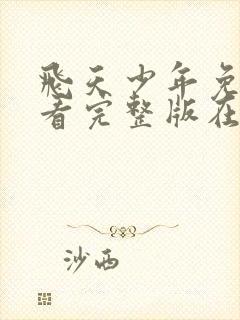 飞天少年免费观看完整版在线全集封面