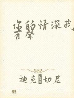 你的情深我不配有声