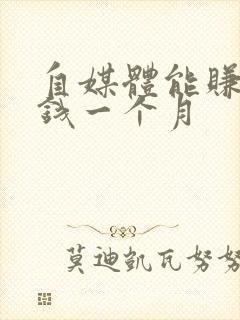 自媒体能赚多少钱一个月