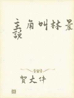 主角叫林晨的小说封面