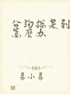 公狗总是到处尿怎么办