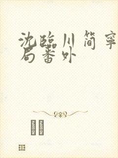 沈临川简宁大结局番外