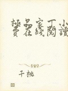 极品家丁小说免费在线阅读完整版封面