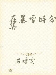 在暴雪时分多少集