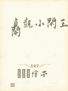 贞观小闲王笔趣阁封面