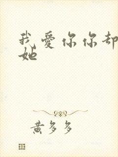 我爱你你却爱着她封面