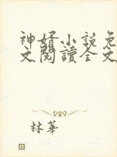 神婿小说免费全文阅读全文
