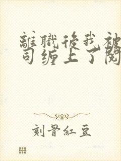 离职后我被前上司缠上了阅读全文全文