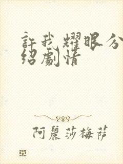 许我耀眼分集介绍剧情