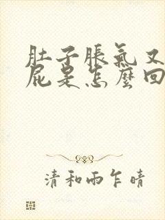 肚子胀气又总放屁是怎么回事