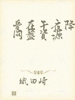 爱在午夜降临前网盘资源