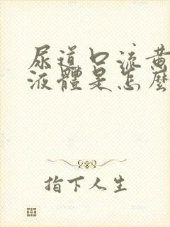 尿道口流黄色的液体是怎么回事