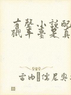 有声小说配音兼职平台是真的吗