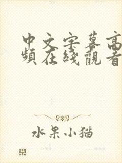 中文字幕高清视频在线观看