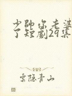 少帅你老婆又跑了短剧29集