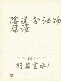 阴道分泌物似豆腐渣