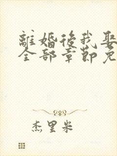 离婚后我娶了岳全部章节免费阅读封面