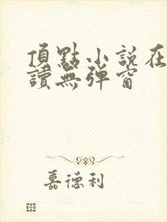 顶点小说在线阅读无弹窗封面