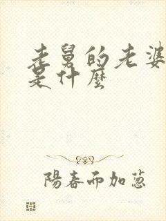 老舅的老婆结局是什么