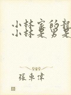 小林家的龙女仆小林是男是女